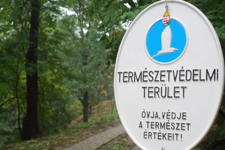 Új területeket nyilvánítottak védetté