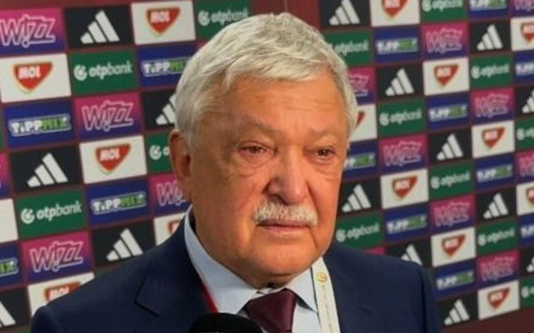 Magyar-ír - Csányi Sándor: talán megérdemeltük volna a pótselejtezőt