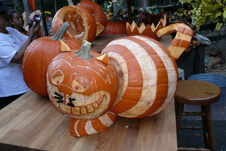 Kreatív tökminták Halloweenra-videóval!