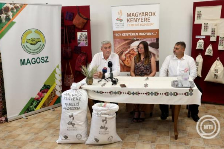 Elindult az idei Magyarok kenyere búzagyűjtés