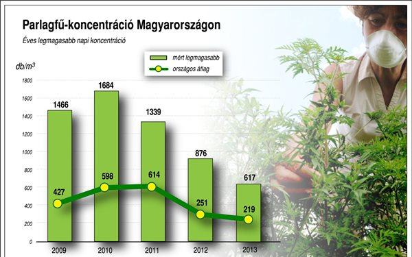 Már érdemes felkészülni a parlagfű-mentesítésre
