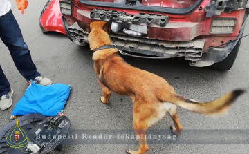 Lökhárító mögött volt a kábítószer - VIDEÓ
