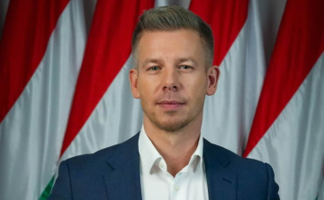 Magyar Péter: hatalmas megtiszteltetésnek érezném, ha Polgár Judit elvállalná a köztársasági elnöki felkérést